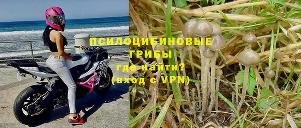 трава Верхнеуральск