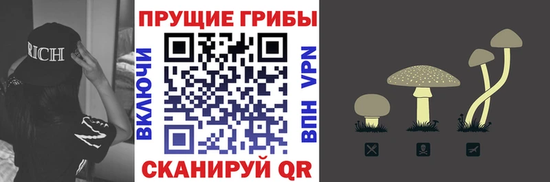 купить наркоту shop Telegram Галлюциногенные грибы GOLDEN TEACHER Мариинск
